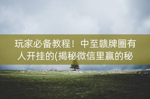 玩家必备教程！中至赣牌圈有人开挂的(揭秘微信里赢的秘诀)
