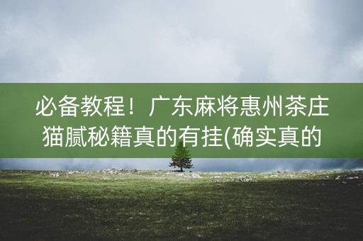 必备教程！广东麻将惠州茶庄猫腻秘籍真的有挂(确实真的有挂)