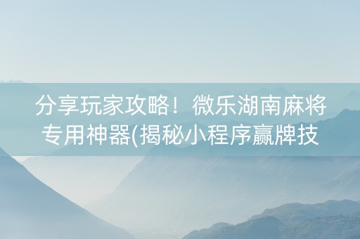 分享玩家攻略！微乐湖南麻将专用神器(揭秘小程序赢牌技巧)