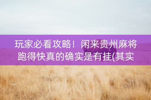 玩家必看攻略！闲来贵州麻将跑得快真的确实是有挂(其实是有挂的)