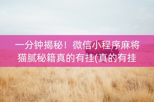 一分钟揭秘！微信小程序麻将猫腻秘籍真的有挂(真的有挂确实有挂)