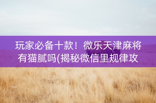 玩家必备十款！微乐天津麻将有猫腻吗(揭秘微信里规律攻略)