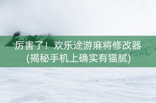 厉害了！欢乐途游麻将修改器(揭秘手机上确实有猫腻)