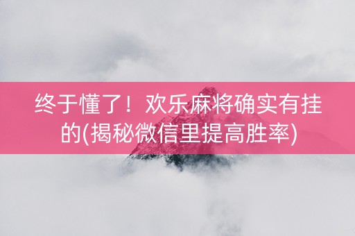 终于懂了！欢乐麻将确实有挂的(揭秘微信里提高胜率)