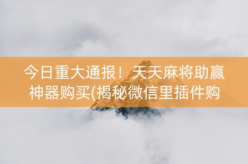 今日重大通报！天天麻将助赢神器购买(揭秘微信里插件购买)