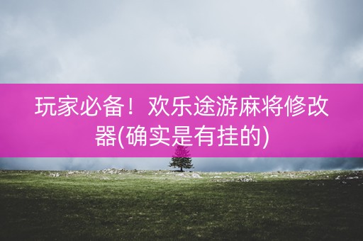 玩家必备！欢乐途游麻将修改器(确实是有挂的)