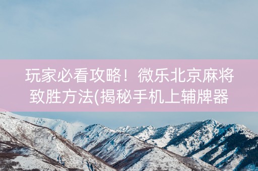 玩家必看攻略！微乐北京麻将致胜方法(揭秘手机上辅牌器)
