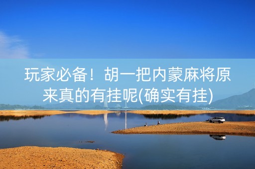 玩家必备！胡一把内蒙麻将原来真的有挂呢(确实有挂)