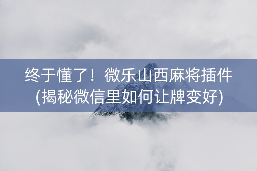 终于懂了！微乐山西麻将插件(揭秘微信里如何让牌变好)