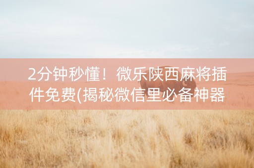2分钟秒懂！微乐陕西麻将插件免费(揭秘微信里必备神器)