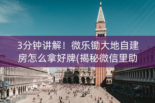 3分钟讲解！微乐锄大地自建房怎么拿好牌(揭秘微信里助攻神器)
