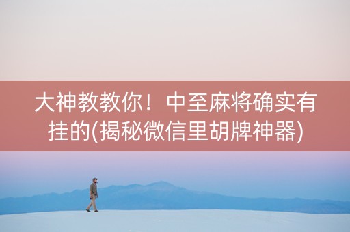 大神教教你！中至麻将确实有挂的(揭秘微信里胡牌神器)