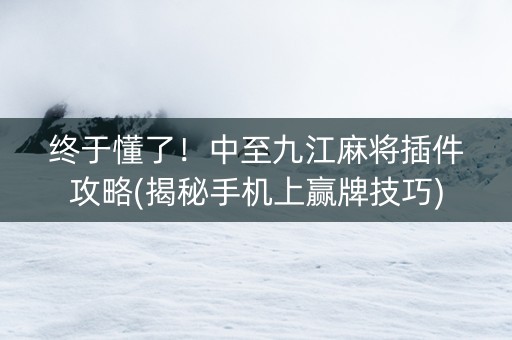 终于懂了！中至九江麻将插件攻略(揭秘手机上赢牌技巧)