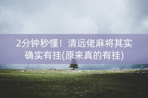 2分钟秒懂！清远佬麻将其实确实有挂(原来真的有挂)
