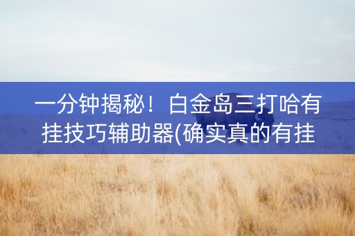 一分钟揭秘！白金岛三打哈有挂技巧辅助器(确实真的有挂)