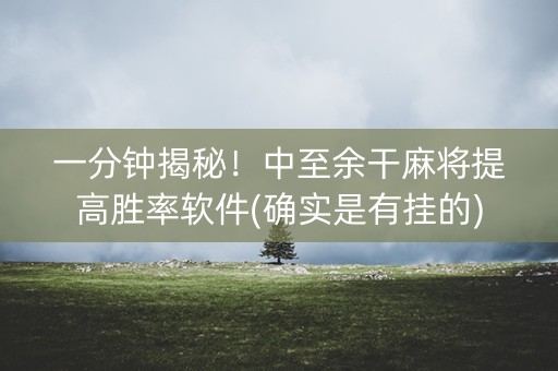 一分钟揭秘！中至余干麻将提高胜率软件(确实是有挂的)