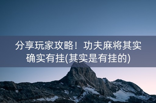 分享玩家攻略！功夫麻将其实确实有挂(其实是有挂的)
