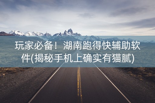 玩家必备！湖南跑得快辅助软件(揭秘手机上确实有猫腻)