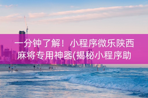 一分钟了解！小程序微乐陕西麻将专用神器(揭秘小程序助攻神器)