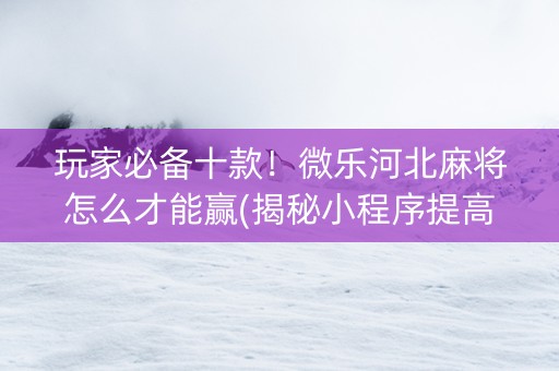玩家必备十款！微乐河北麻将怎么才能赢(揭秘小程序提高赢的概率)