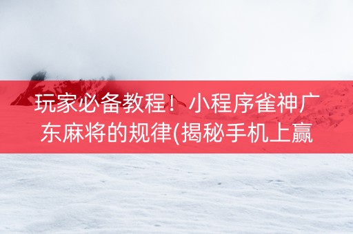 玩家必备教程！小程序雀神广东麻将的规律(揭秘手机上赢的诀窍)
