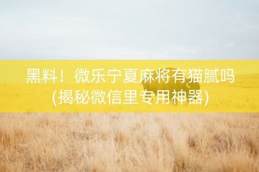 黑料！微乐宁夏麻将有猫腻吗(揭秘微信里专用神器)