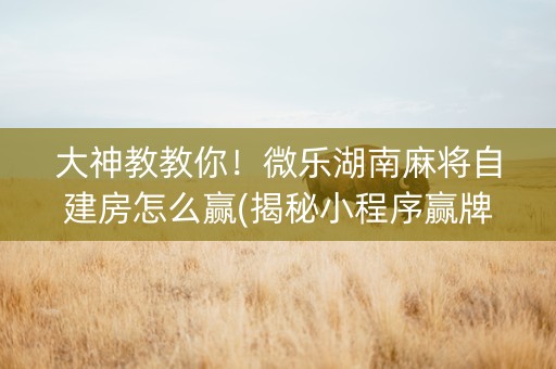 大神教教你！微乐湖南麻将自建房怎么赢(揭秘小程序赢牌技巧)