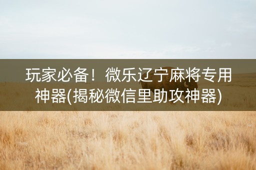 玩家必备！微乐辽宁麻将专用神器(揭秘微信里助攻神器)