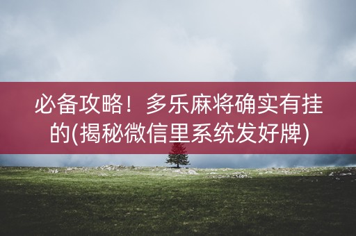 必备攻略！多乐麻将确实有挂的(揭秘微信里系统发好牌)