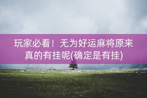 玩家必看！无为好运麻将原来真的有挂呢(确定是有挂)