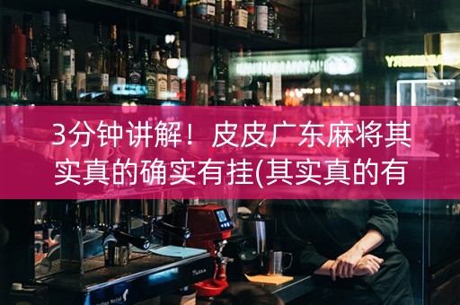 3分钟讲解！皮皮广东麻将其实真的确实有挂(其实真的有挂)