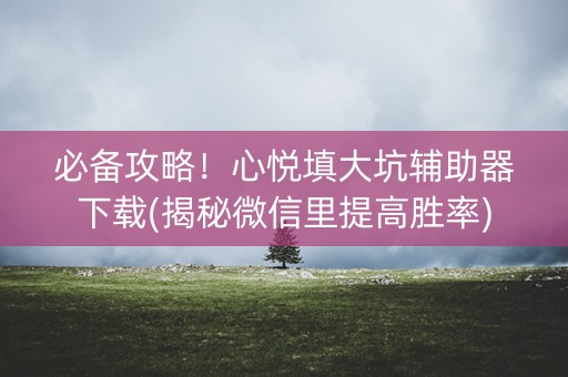 必备攻略！心悦填大坑辅助器下载(揭秘微信里提高胜率)