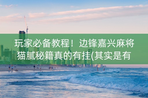 玩家必备教程！边锋嘉兴麻将猫腻秘籍真的有挂(其实是有挂确实有挂)