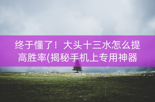 终于懂了！大头十三水怎么提高胜率(揭秘手机上专用神器)