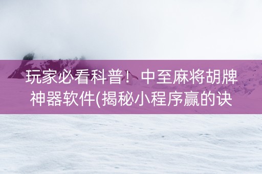 玩家必看科普！中至麻将胡牌神器软件(揭秘小程序赢的诀窍)