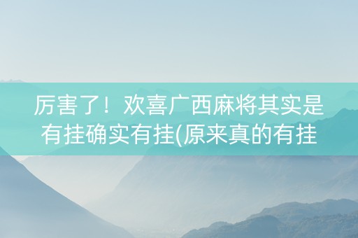 厉害了！欢喜广西麻将其实是有挂确实有挂(原来真的有挂)
