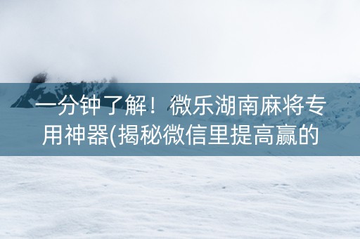 一分钟了解！微乐湖南麻将专用神器(揭秘微信里提高赢的概率)