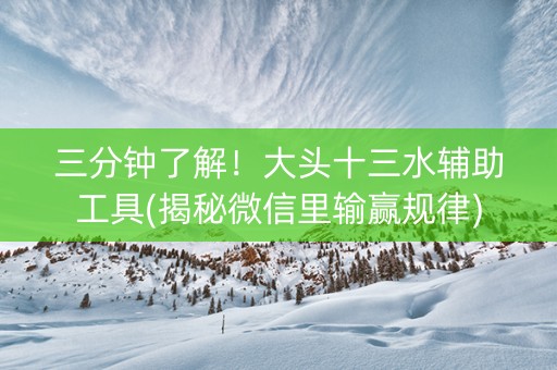 三分钟了解！大头十三水辅助工具(揭秘微信里输赢规律)