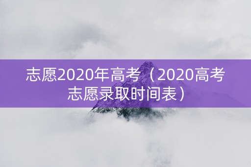 志愿2020年高考（2020高考志愿录取时间表）