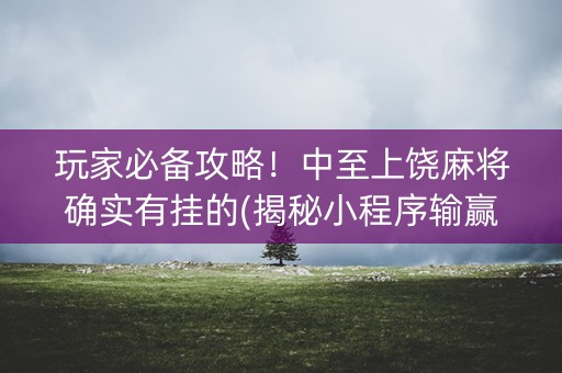 玩家必备攻略！中至上饶麻将确实有挂的(揭秘小程序输赢规律)