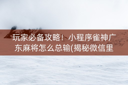 玩家必备攻略！小程序雀神广东麻将怎么总输(揭秘微信里助赢神器)
