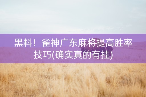 黑料！雀神广东麻将提高胜率技巧(确实真的有挂)