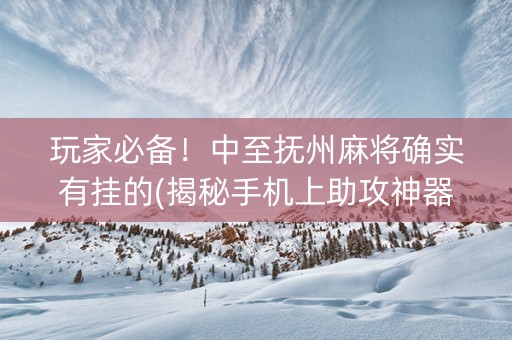 玩家必备！中至抚州麻将确实有挂的(揭秘手机上助攻神器)