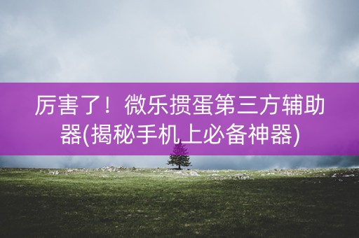 厉害了！微乐掼蛋第三方辅助器(揭秘手机上必备神器)