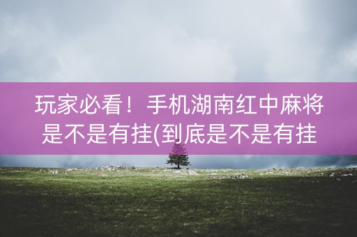 玩家必看！手机湖南红中麻将是不是有挂(到底是不是有挂)