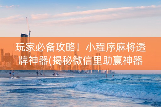 玩家必备攻略！小程序麻将透牌神器(揭秘微信里助赢神器)