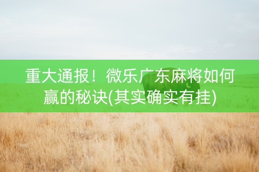重大通报！微乐广东麻将如何赢的秘诀(其实确实有挂)