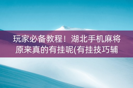 玩家必备教程！湖北手机麻将原来真的有挂呢(有挂技巧辅助器)