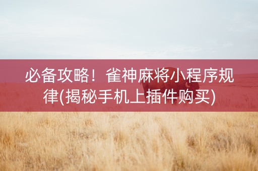 必备攻略！雀神麻将小程序规律(揭秘手机上插件购买)