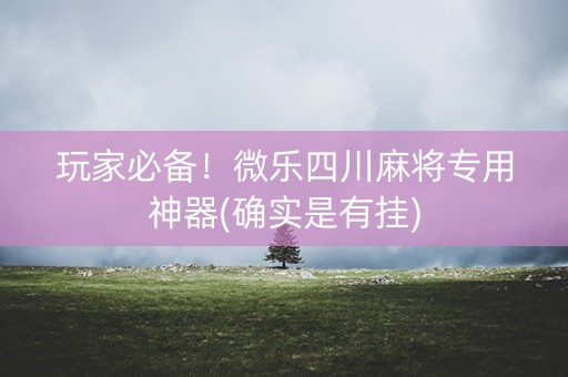 玩家必备！微乐四川麻将专用神器(确实是有挂)